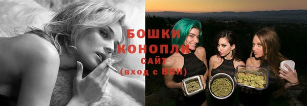 ECSTASY Богородицк