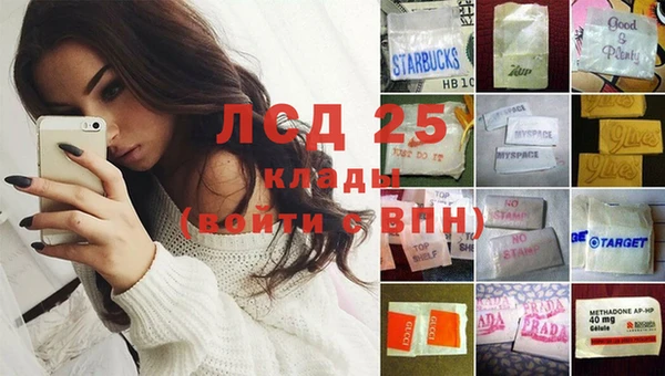 ECSTASY Богородицк
