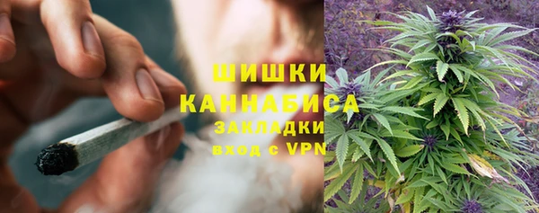 тгк Белокуриха